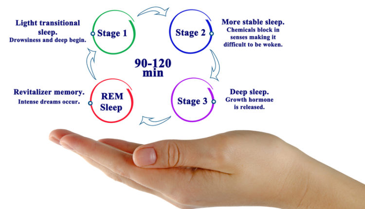 sleep-stages-sleep-cycle